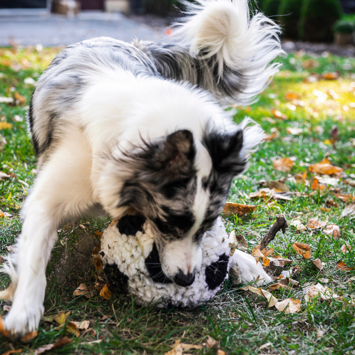 HuggleFleece® Soccer Ball Plush Dog Toy, Limited World Cup 2026