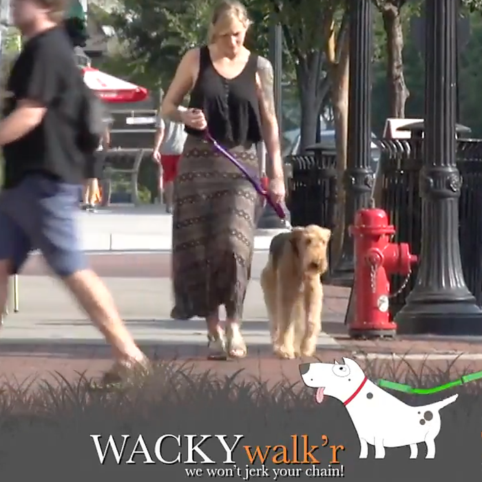 WACKYstore Shorter No Pull Leash - Urban Walk'r
