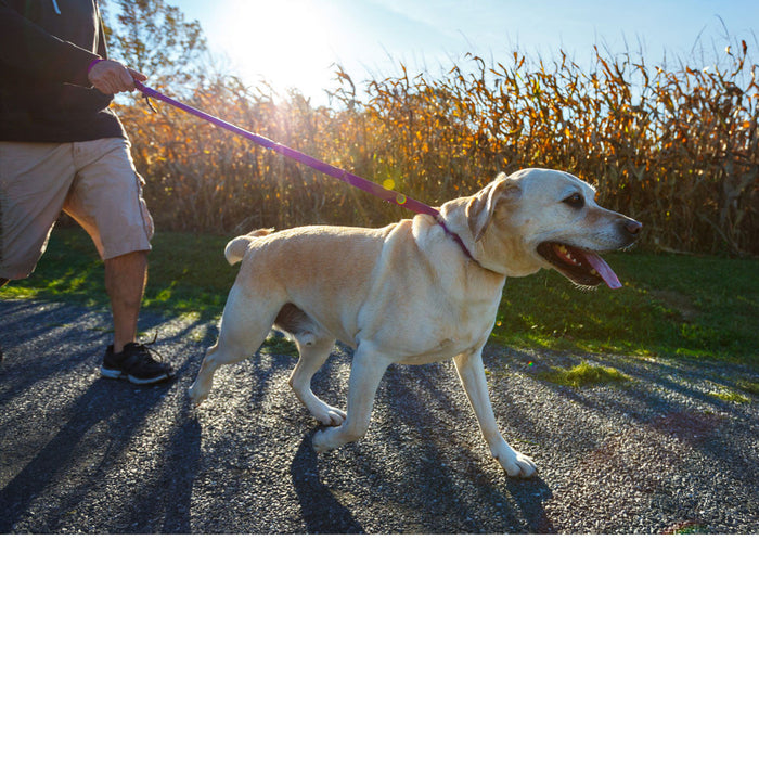 WACKYstore Shorter No Pull Leash - Urban Walk'r