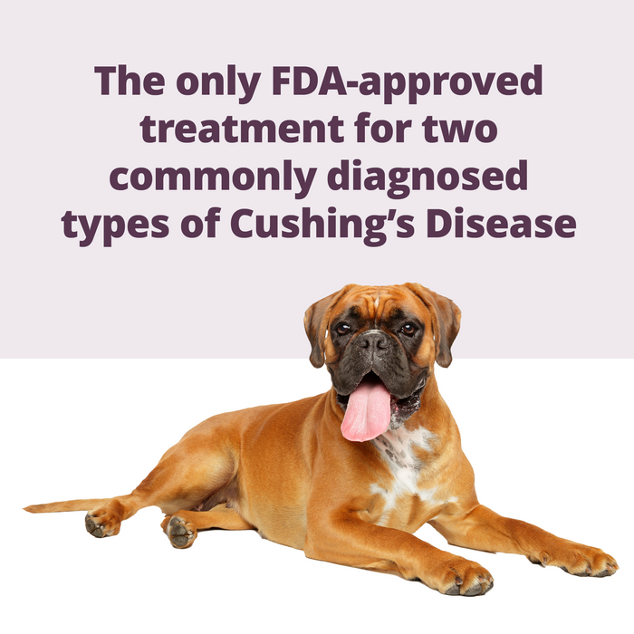 Rx Vetoryl 60 mg x 30 capsules