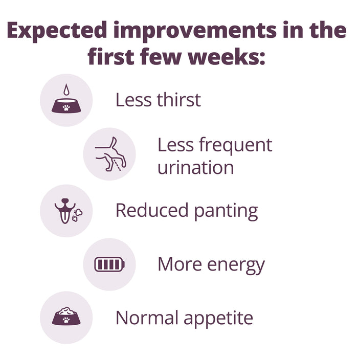 Rx Vetoryl 20 mg x 1 Capsule