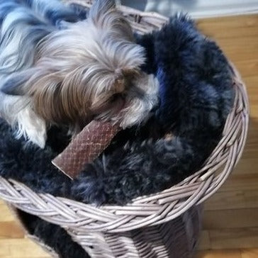 Bully Bunches 6 Inch Beef Jerky Strip