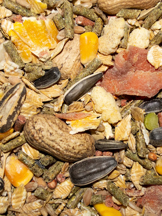 Volkman Seed Company Small Animal Rodent Gourmet Dry Food 4 lb