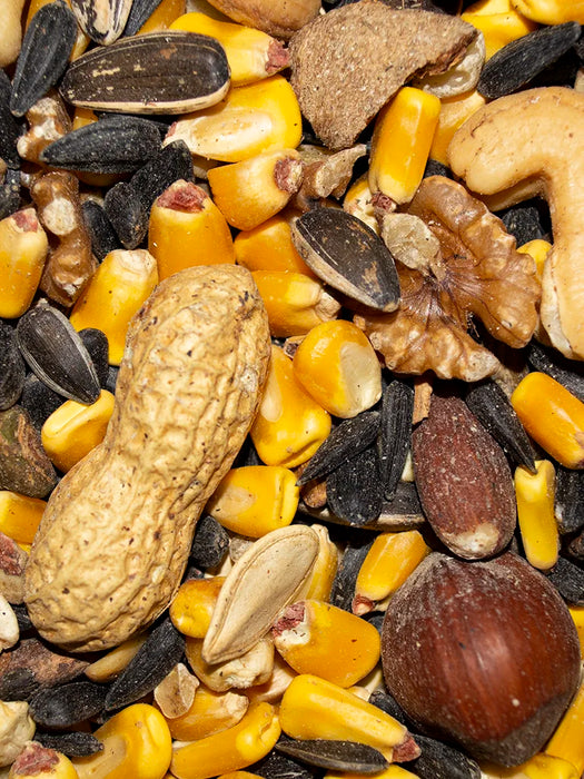 Volkman Seed Company Small Animal Squirrel Gourmet Mix Dry Food 15 lb