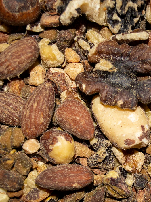 Volkman Seed Company Small Animal Squirrel Delight All Nut Mix Dry Food 4 lb