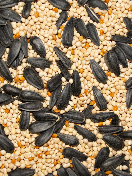 Volkman Seed Company Wild Bird Audubon Mixed Seed Food 20 lb