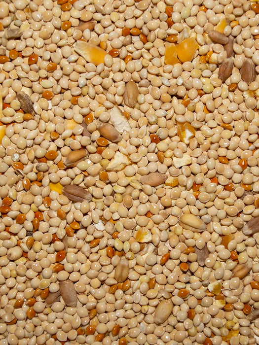 Volkman Seed Company Wild Bird Premium Mixed Seed Food 20 lb