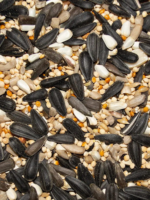 Volkman Seed Company Wild Bird Ultra Mixed Seed Food 20 lb
