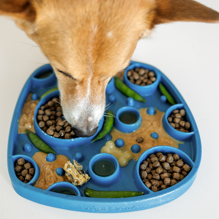 West Paw Bubbles Feast Mat Dog Feeder