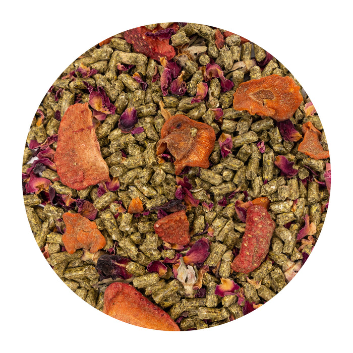 Zoo Med Gourmet Iguana Food 13oz