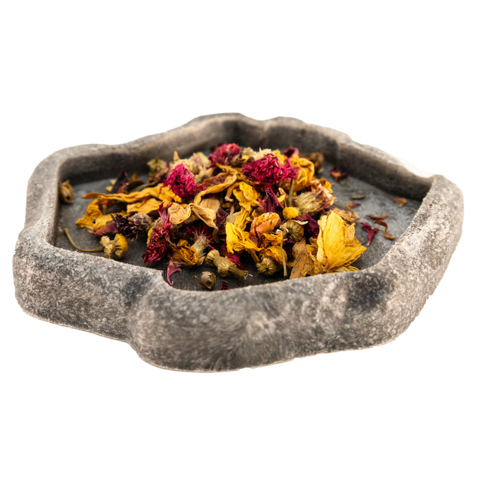 Zoo Med Lizard Flower Food Topper 1.4 oz