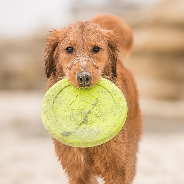 West Paw Zisc 2-in-1 Flying Disc & Travel Bowl