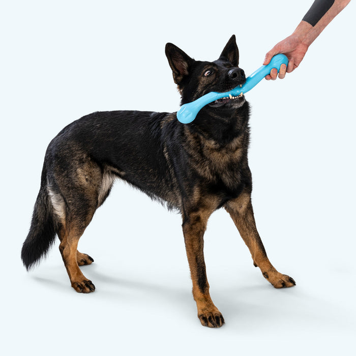 West Paw Zwig Dog Toy