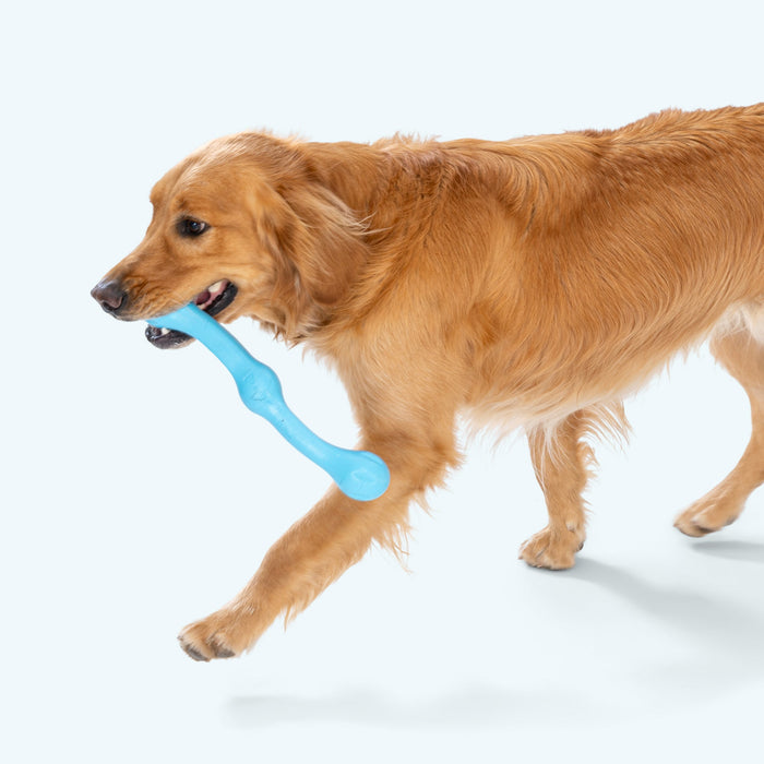 West Paw Zwig Dog Toy