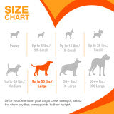 Nylabone Power Chew Donut Dog Chew Toy 70th Birthday Orange Pumpkin & Peanut Butter Large (1 Count)