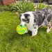 KONG Flexball Sport Ball Dog Toy XL - 6 - Image 8