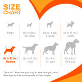 Nylabone Power Chew Textured Bone Dog Chew Toy 70th Birthday Orange Swirl Chicken Medium (1 Count)