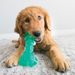 KONG Dental Squeezz Bone Dog Chew Teal MD - 4 - Image 6