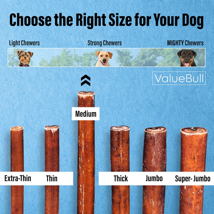 Value Pet Supplies ValueBull Bully Sticks for Dogs, Medium 6 Inch, 50 Count