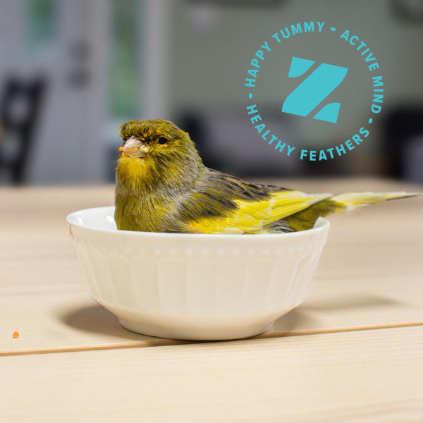 ZuPreem AvianBreeder FruitBlend Bird Food for Medium Birds - Cockatiels, Lovebirds, Conures, Quakers 2lb