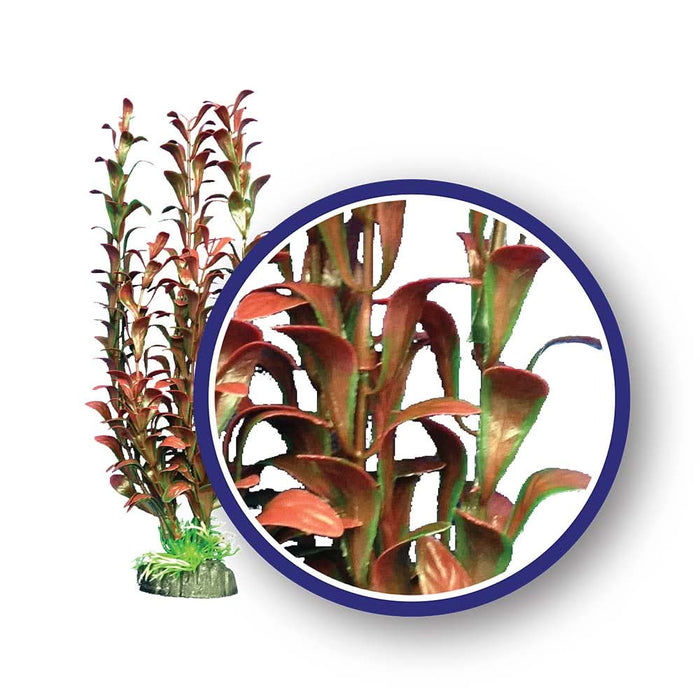 Weco Products Freshwater Series Hygrophilia Aquarium Plant Red 6 in