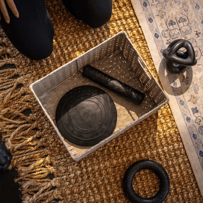 Monster K9 Dog Toys Aero Disc