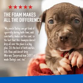 Adams Plus Flea & Tick Foaming Shampoo & Wash for Dogs & Puppies 10 oz