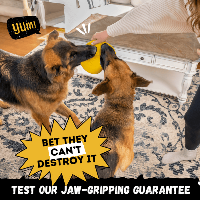 Monster K9 Dog Toys Air Disc