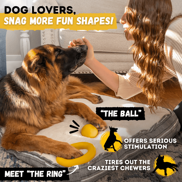 Monster K9 Dog Toys Air Disc