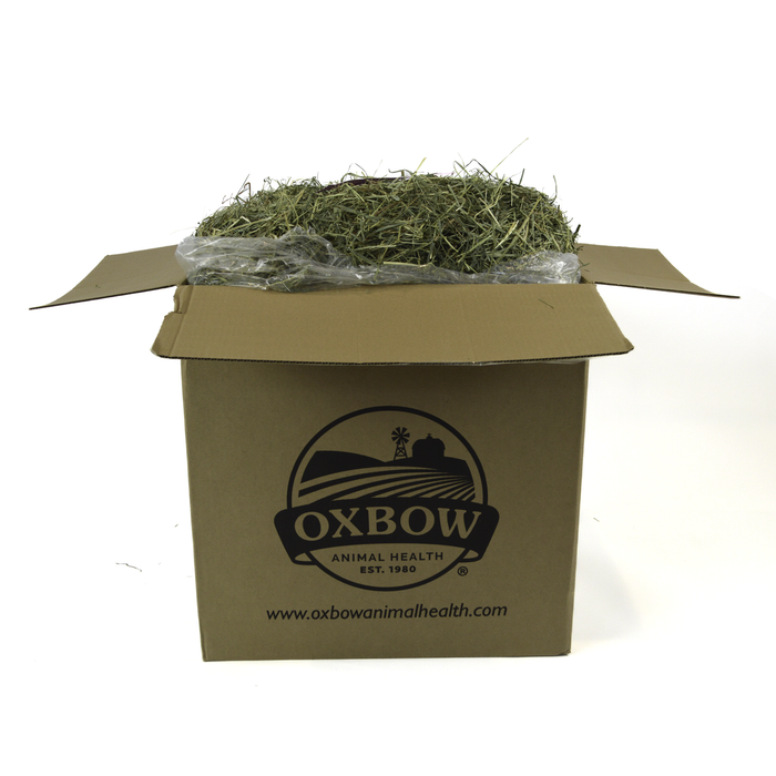 Oxbow Animal Health Orchard Grass Hay 25lb