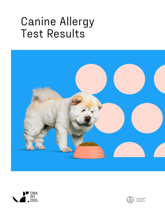 DNA My Dog Essential Breed ID Test