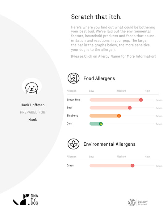 DNA My Dog Essential Breed ID Test