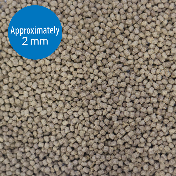 API Goldfish Premium Sinking Pellets Fish Food 7 oz