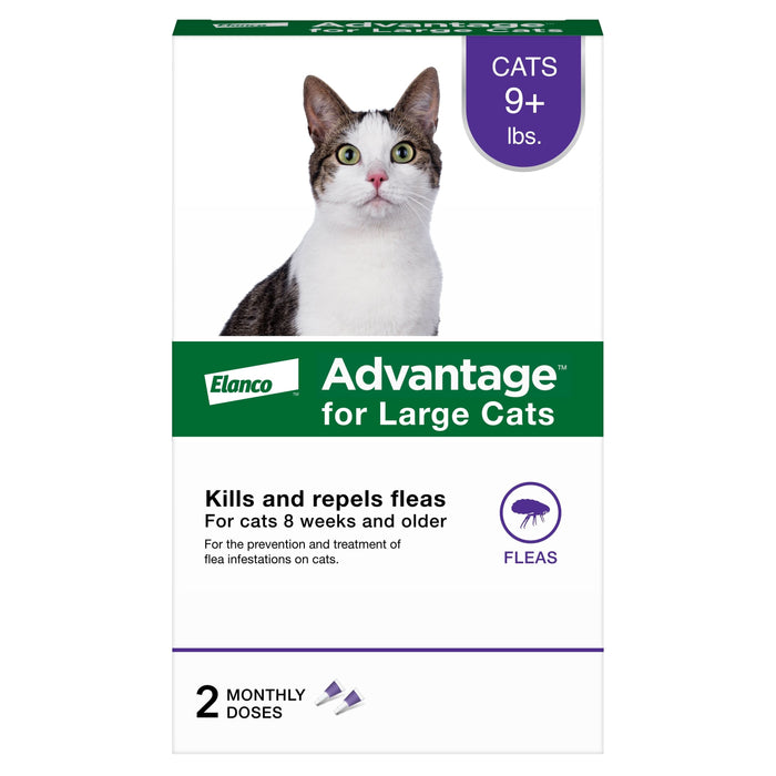 Elanco Advantage Topical Flea Treatment for Cats 2-Month Supply LG Cats (Over 9lbs) - Image 2