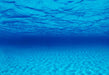 Seaview Double Sided Background Seascape & Natural Mystic 24 Inches X 50 Feet - Image 2