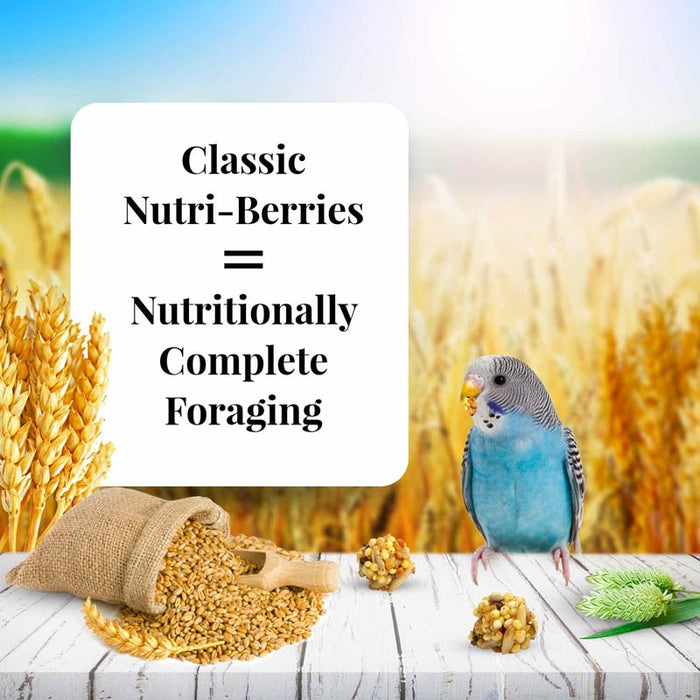 Lafeber Company Classic Nutri-Berries Parakeet Food 10oz