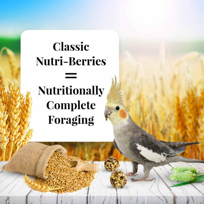 Lafeber Company Classic Nutri-Berries Cockatiel Food 4lb