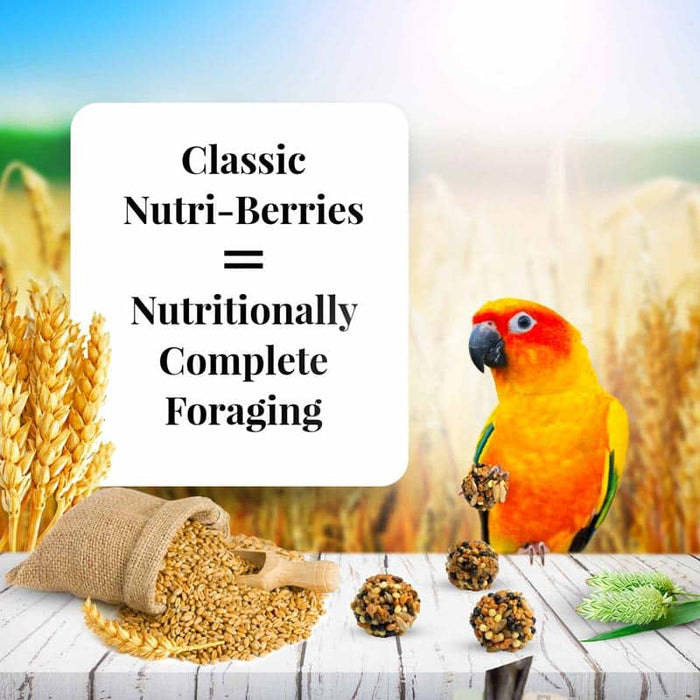Lafeber Company Classic Nutri-Berries Conure Bird Food 10oz