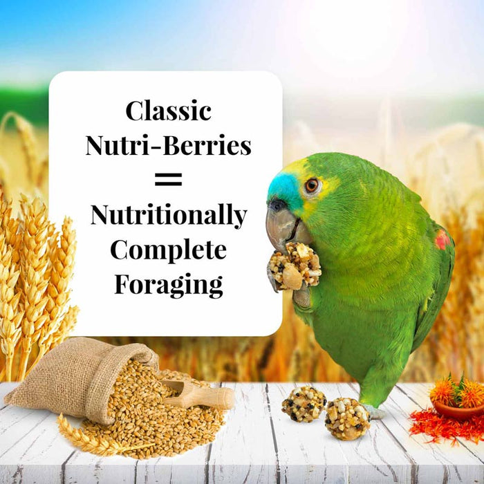 Lafeber Company Classic Nutri-Berries Parrot Food 3.25lb