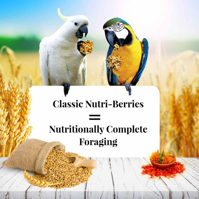 Lafeber Company Classic Nutri-Berries Macaw & Cockatoo Food 10oz