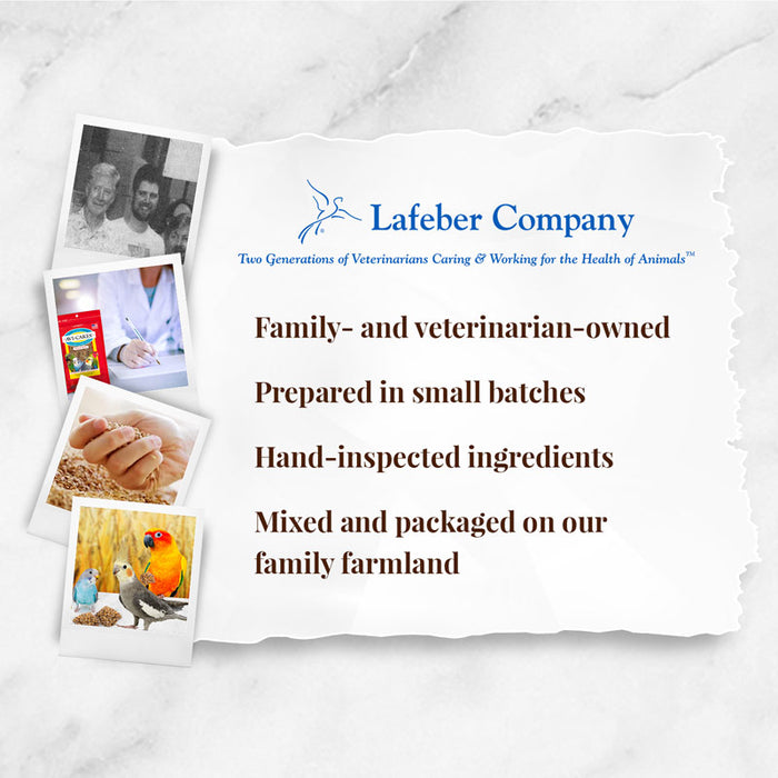 Lafeber Company Classic Avi-Cakes Parakeet & Cockatiel Treat 8oz