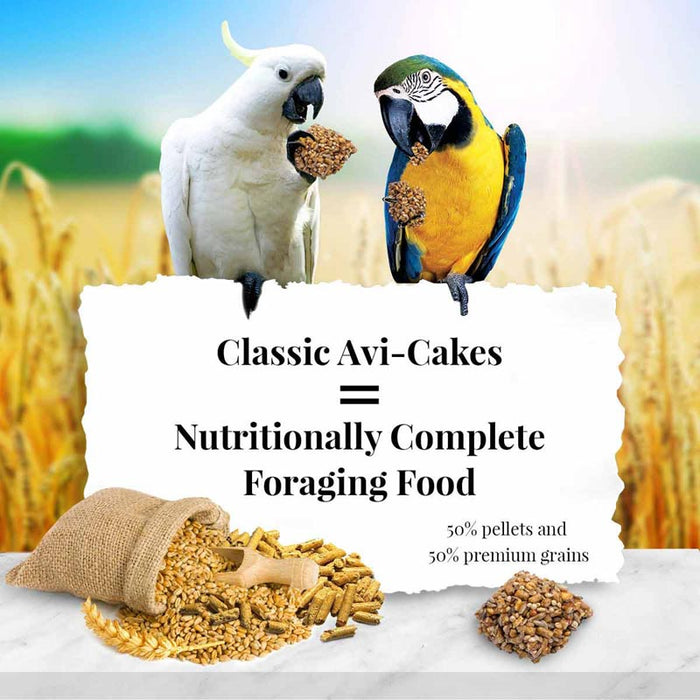 Lafeber Company Classic Avi-Cakes Macaw-Cockatoo Treat 1lb