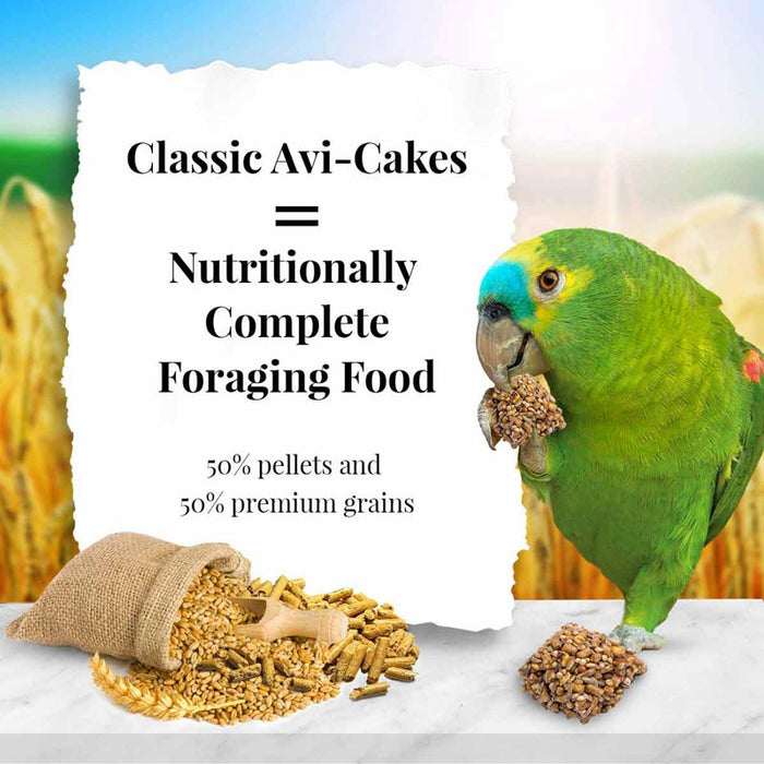 Lafeber Company Classic Avi-Cakes Parrot Treat 12oz