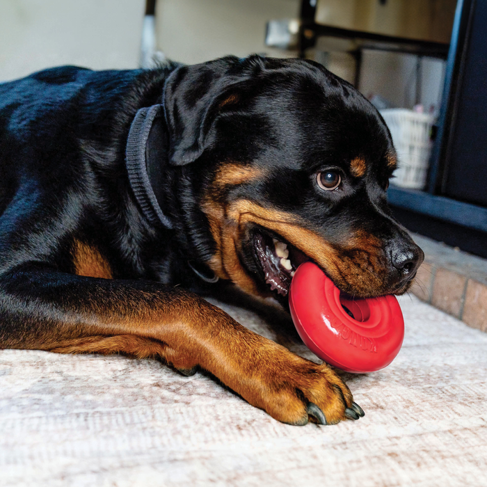 KONG Donut Dog Toy LG/XL - 8 - Image 13