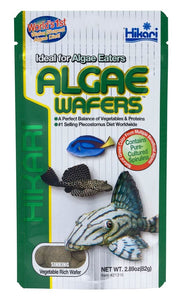 Hikari USA Algae Wafers Rapidly Sinking Wafer Fish Food 2.89 oz - Image 2