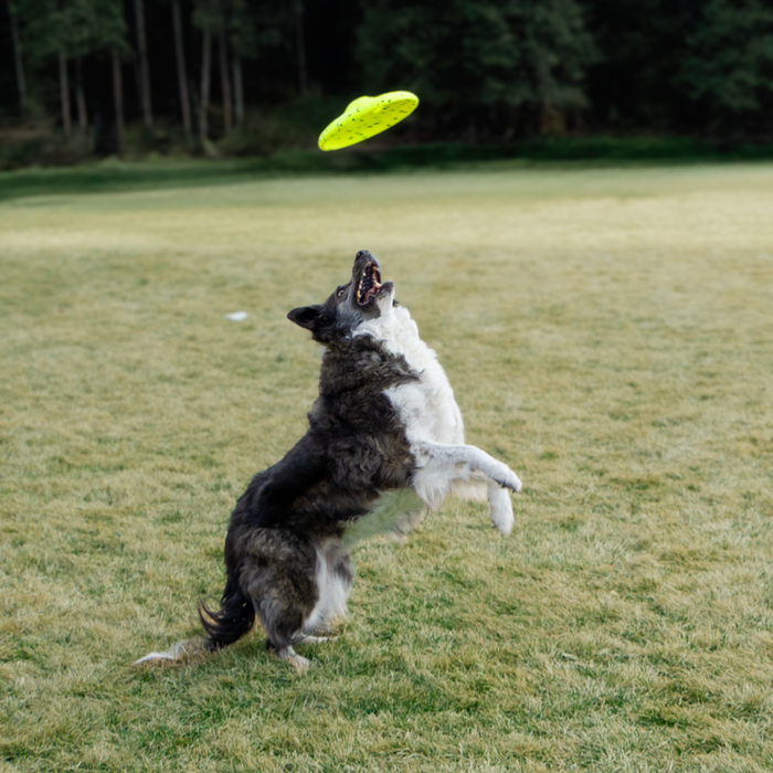 UPC-035585505244
