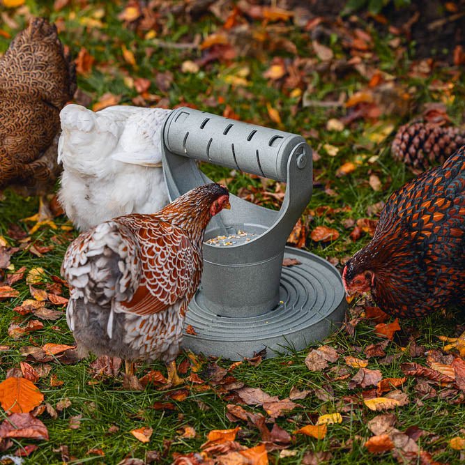 Jeffers Backyard Chicken Feed Tower – Promotes Exercise and Mental Stimulation