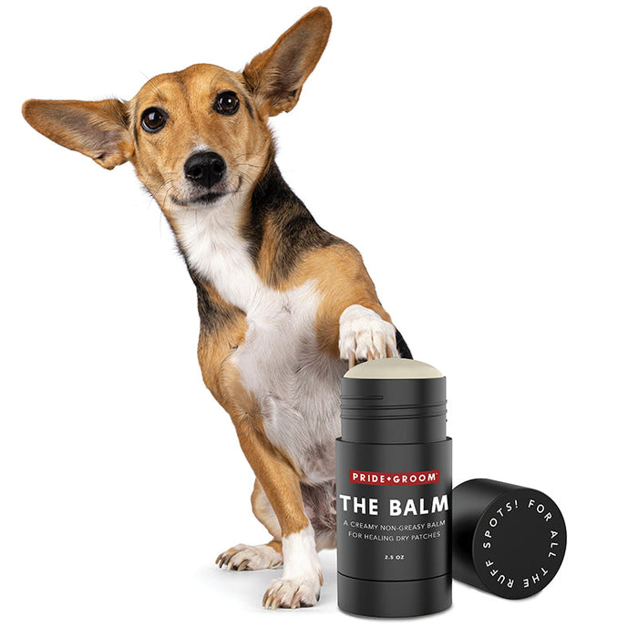 PRIDE+GROOM The Balm Healing Pet Balm — Natural Paw & Nose Moisturizing Balm for Dogs & Cats