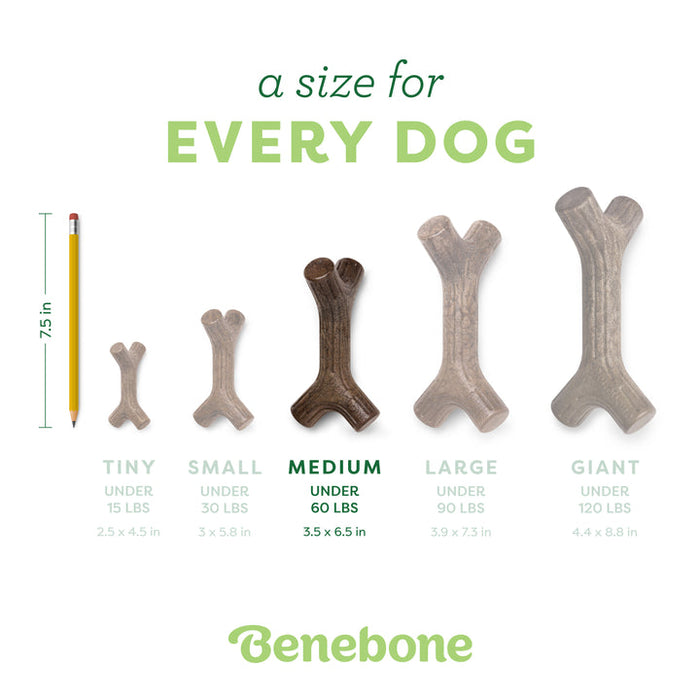 Benebone Stick Durable Dog Chew Toy Bacon MD