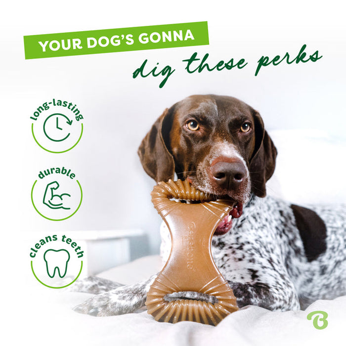 Benebone Dental Chew Durable Dog Chew Toy Bacon SM